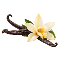 Vanilla Flavour